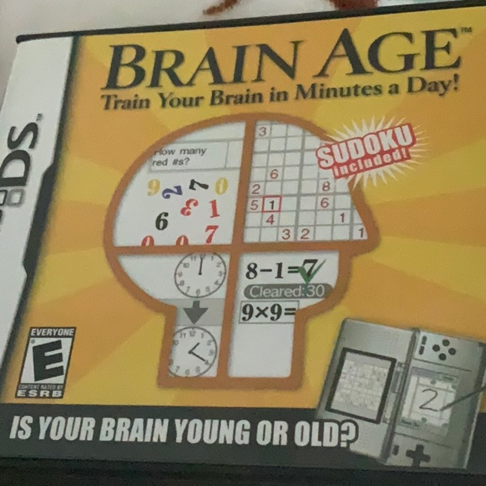 Nintendo DS Brain Age game